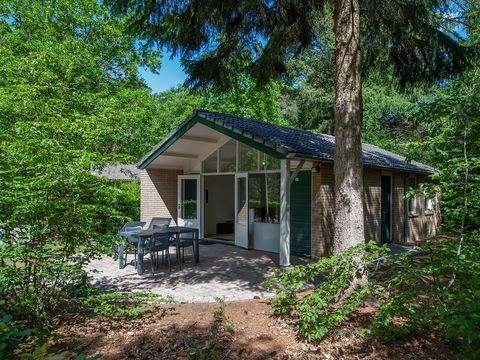 Roompot Bospark De Schaapskooi - Camping Epe