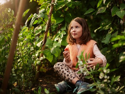 Center Parcs Het Meerdal - Camping Horst an der Maas - Image N°4