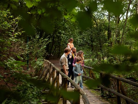 Center Parcs Het Meerdal - Camping Horst an der Maas