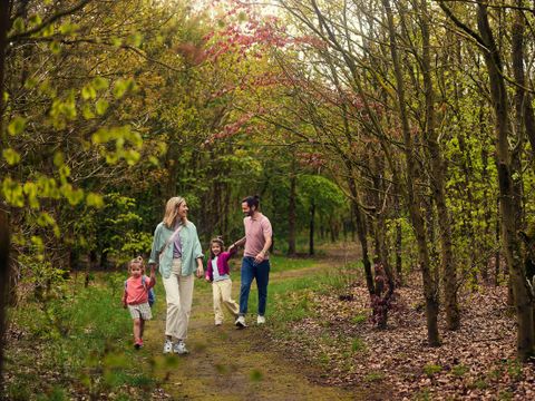 Center Parcs Het Meerdal - Camping Horst an der Maas