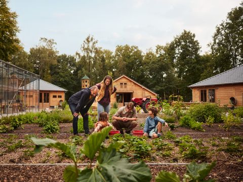 Center Parcs Het Meerdal - Camping Horst an der Maas - Image N°4
