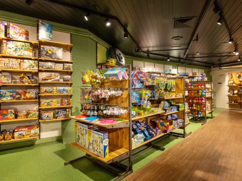 Center Parcs Het Meerdal - Camping Horst an der Maas