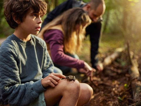 Center Parcs Het Meerdal - Camping Horst an der Maas