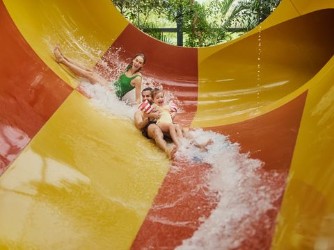 Center Parcs Het Meerdal - Camping Horst an der Maas - Image N°2