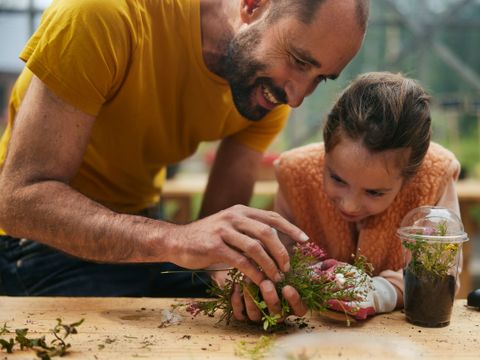Center Parcs Het Meerdal - Camping Horst an der Maas
