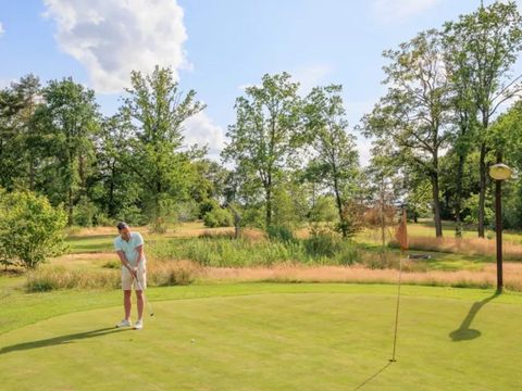 Recreatiepark Kaps - Camping Tubbergen - Image N°3