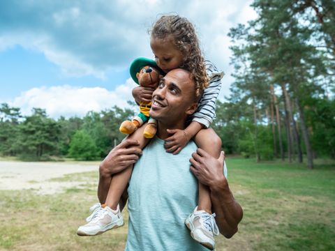 Landal Miggelenberg - Camping Apeldoorn - Image N°2