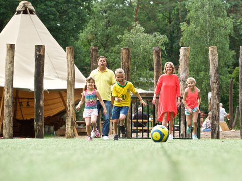Landal Miggelenberg - Camping Apeldoorn - Image N°5