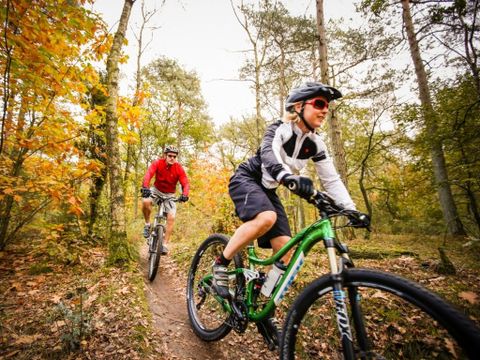 Landal Aelderholt - Camping Coevorden