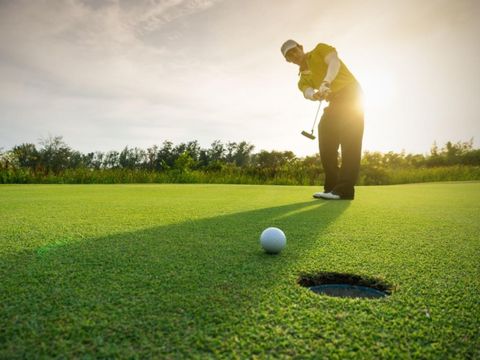 Landal Aelderholt - Camping Coevorden