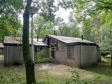 Landal De Lommerbergen - Camping Beesel