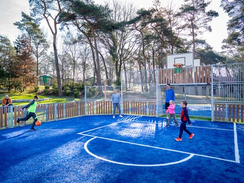 Landal De Lommerbergen - Camping Beesel