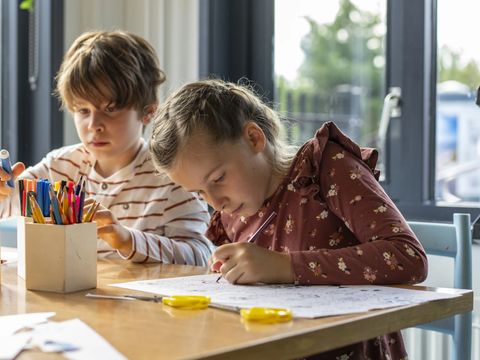 Roompot Kustpark Egmond aan Zee - Camping Bergen - Image N°5