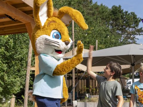 Roompot Kustpark Egmond aan Zee - Camping Bergen - Image N°3