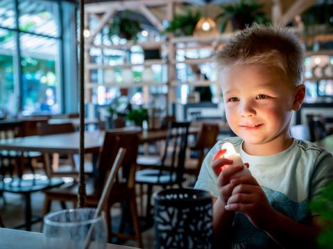 Landal Rabbit Hill - Camping Apeldoorn