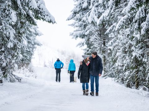 Landal Salztal Paradies - Camping Basse-saxe