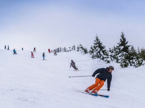 Landal Salztal Paradies - Camping Basse-saxe