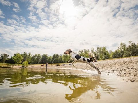 Landal Twenhaarsveld - Camping Rijssen-Holten