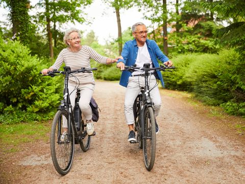 Landal Natuurdorp Suyderoogh - Camping Het Hogeland