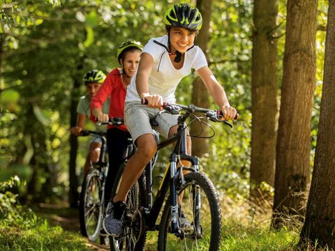 Landal Stroombroek - Camping Montferland