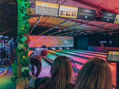 't Hooge Holt - Camping Hardenberg