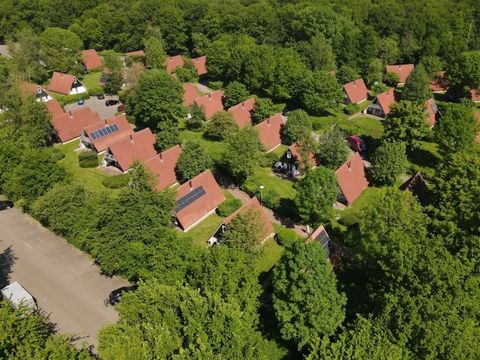 't Hooge Holt - Camping Hardenberg - Image N°30