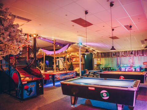 't Hooge Holt - Camping Hardenberg