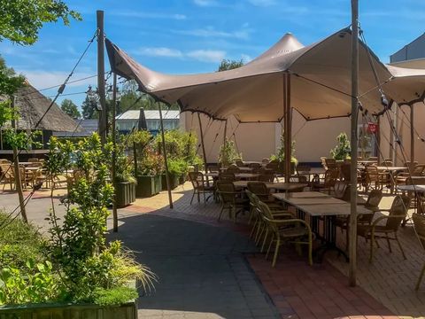 't Hooge Holt - Camping Hardenberg