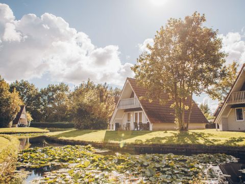 't Hooge Holt - Camping Hardenberg - Image N°24