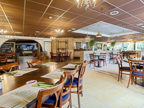 't Hooge Holt - Camping Hardenberg