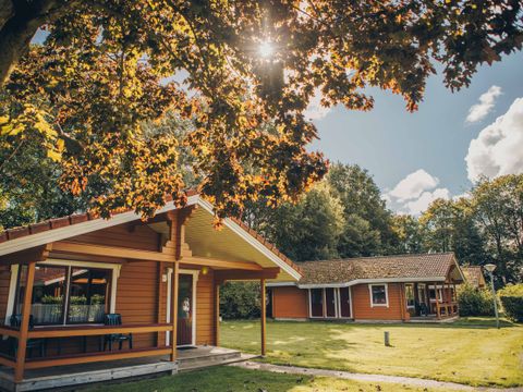 't Hooge Holt - Camping Hardenberg - Image N°26