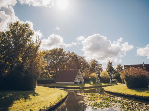 't Hooge Holt - Camping Hardenberg - Image N°25