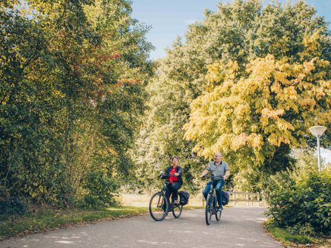 't Hooge Holt - Camping Hardenberg