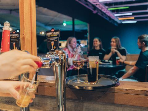't Hooge Holt - Camping Hardenberg
