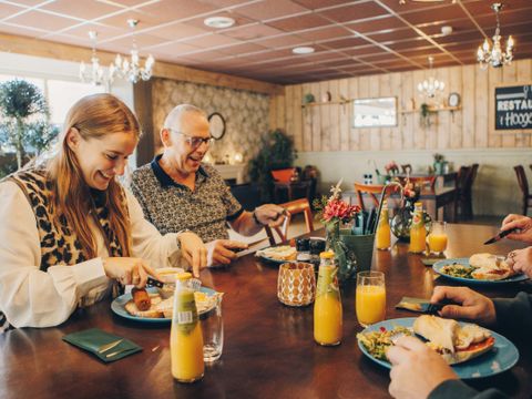 't Hooge Holt - Camping Hardenberg