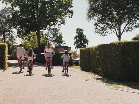 Villapark De Paardekreek - Camping Beveland-Nord - Image N°2