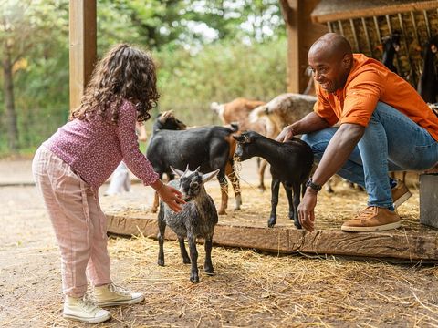 Sunparks Kempense Meren - Camping Anvers - Image N°5