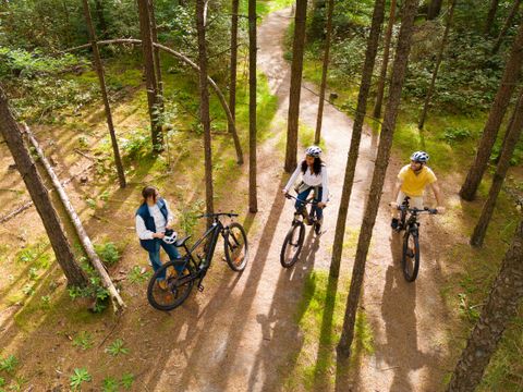 Sunparks Kempense Meren - Camping Anvers - Image N°3