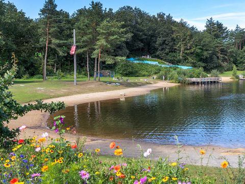 Molecaten Park Kuierpad - Camping Coevorden - Image N°3