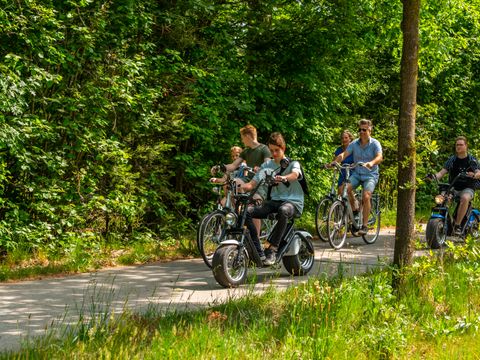 EuroParcs De Hooge Veluwe - Camping Arnhem