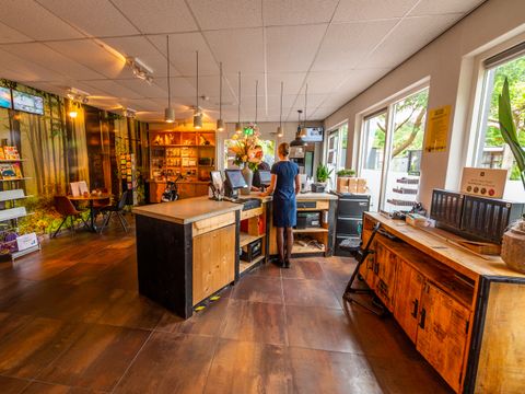 EuroParcs De Hooge Veluwe - Camping Arnhem