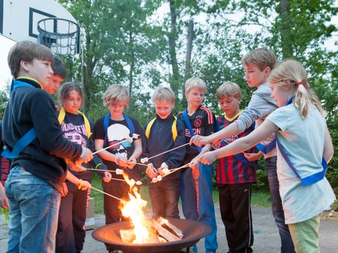 Vakantiepark Koningshof - Camping Katwijk am Meer - Image N°31