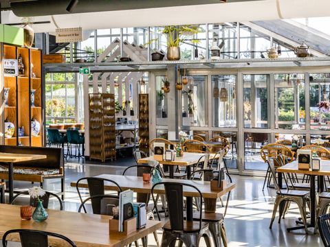 Vakantiepark Koningshof - Camping Katwijk am Meer - Image N°3