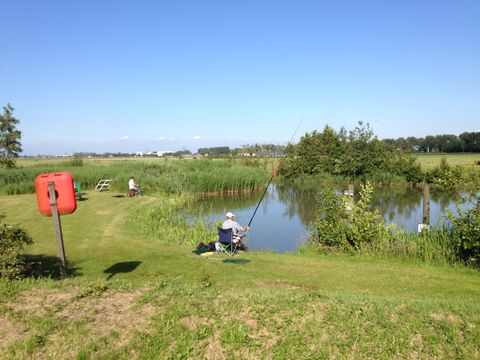 Vakantiepark Koningshof - Camping Katwijk am Meer - Image N°28