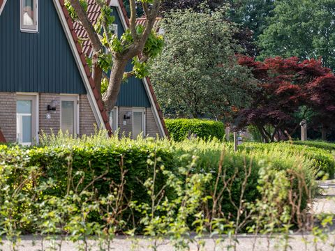 Vakantiepark Molendal - Camping Mook en Middelaar