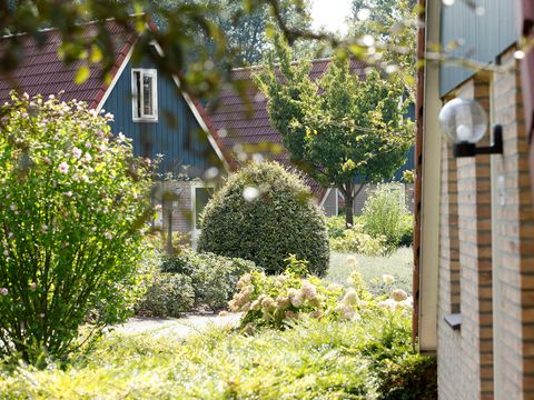 Vakantiepark Molendal - Camping Mook en Middelaar - Image N°3