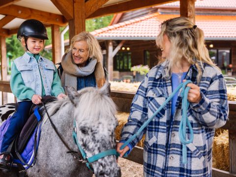 Landal Het Land van Bartje - Camping Borger-Odoorn - Image N°2