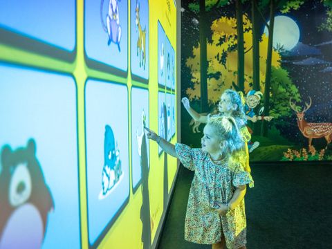 Landal Het Land van Bartje - Camping Borger-Odoorn - Image N°4