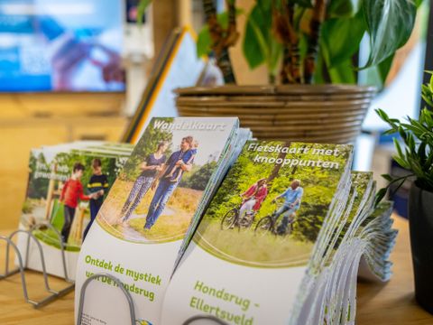 Landal Het Land van Bartje - Camping Borger-Odoorn