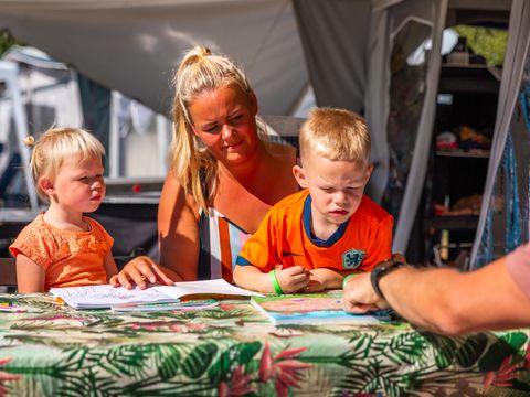 Vakantiepark Witterzomer - Camping Assen - Image N°62